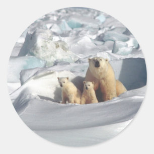 Add SLOGAN to Save Arctic Polar Bears Planet Ice Classic Round Sticker