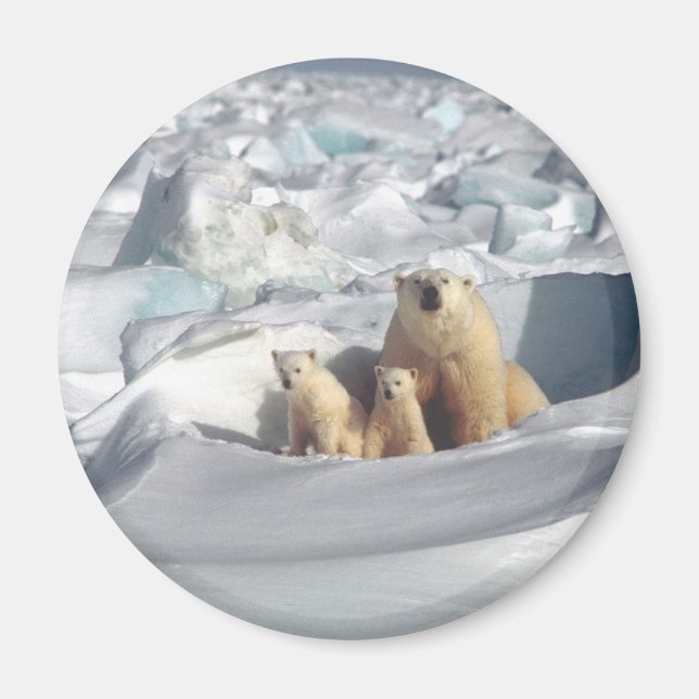 Add SLOGAN to Save Arctic Polar Bears Planet Ice Magnet (Front)