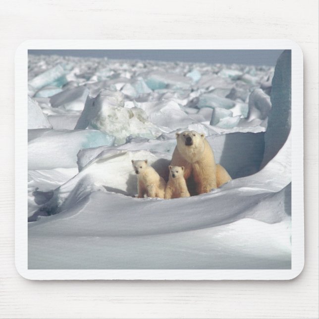 Add SLOGAN to Save Arctic Polar Bears Planet Ice Mouse Pad (Front)