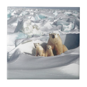 Add SLOGAN to Save Arctic Polar Bears Planet Ice Tile