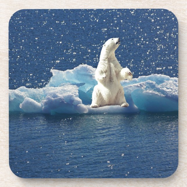 Add SLOGAN to Save Polar Bears Arctic Planet Ice Coaster (Front)