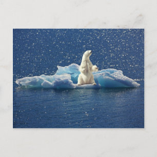 Add SLOGAN to Save Polar Bears Arctic Planet Ice Postcard
