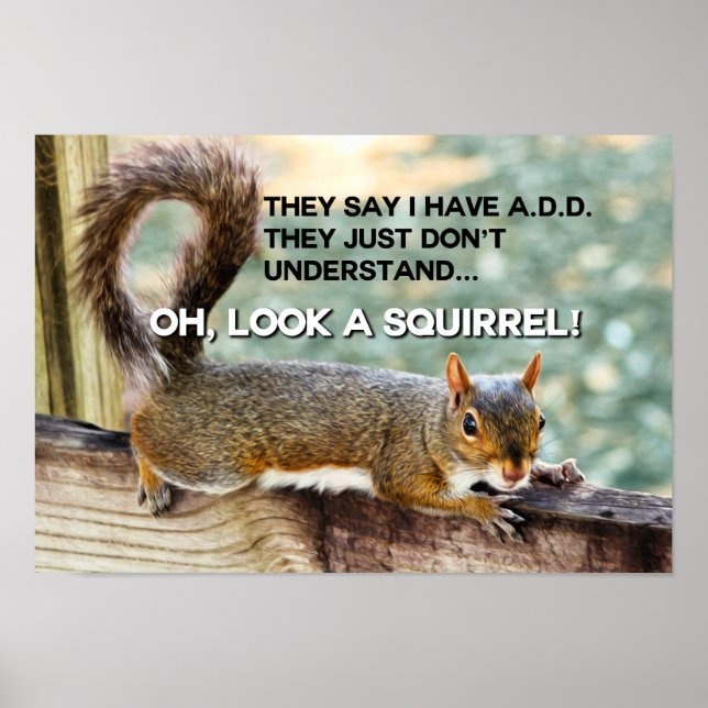 ADD Squirrel Photo Poster (Front)