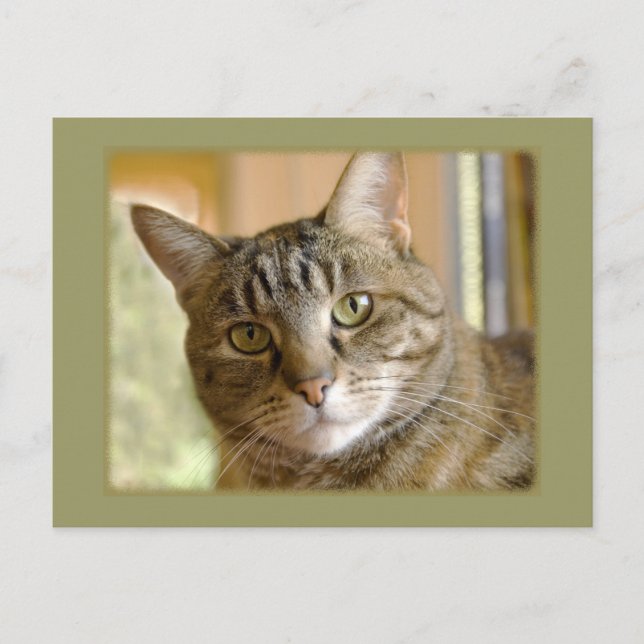 Add Your Custom Photo Thinking Of You Template Postcard (Front)