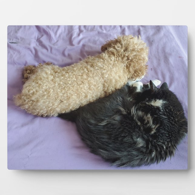 Add your cute or funny Pet Photos Plaque (Front)