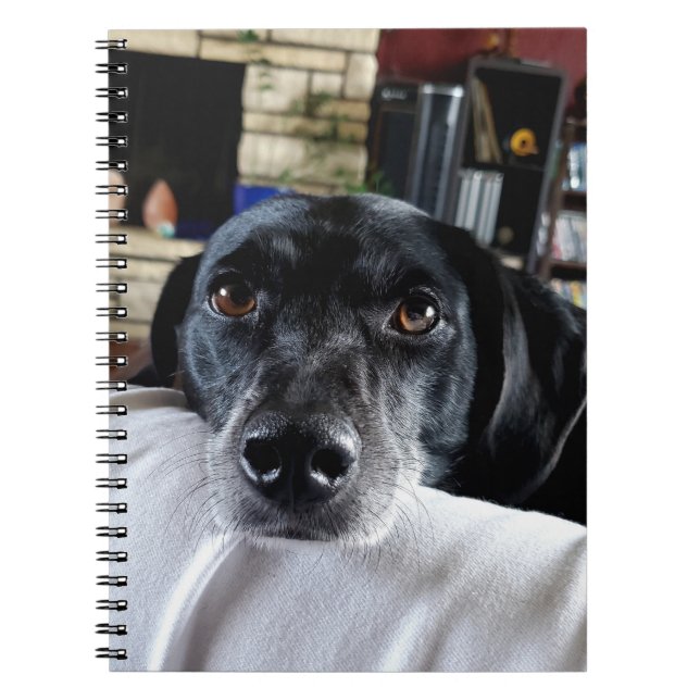 Add Your Dog's Photo to this Custom Notebook (Front)