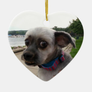 Add your Dog's Photo to this Ornament