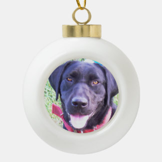 Add your favorite pet photo ornament 2020