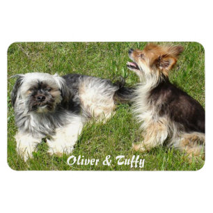 Add Your Favorite Photo Magnet