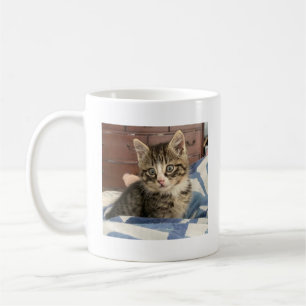 Add your Favourite Kitty Cat Photo Coffee Mug
