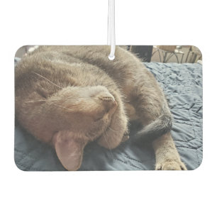 Add Your Favourite Pet Photos to these  Car Air Freshener