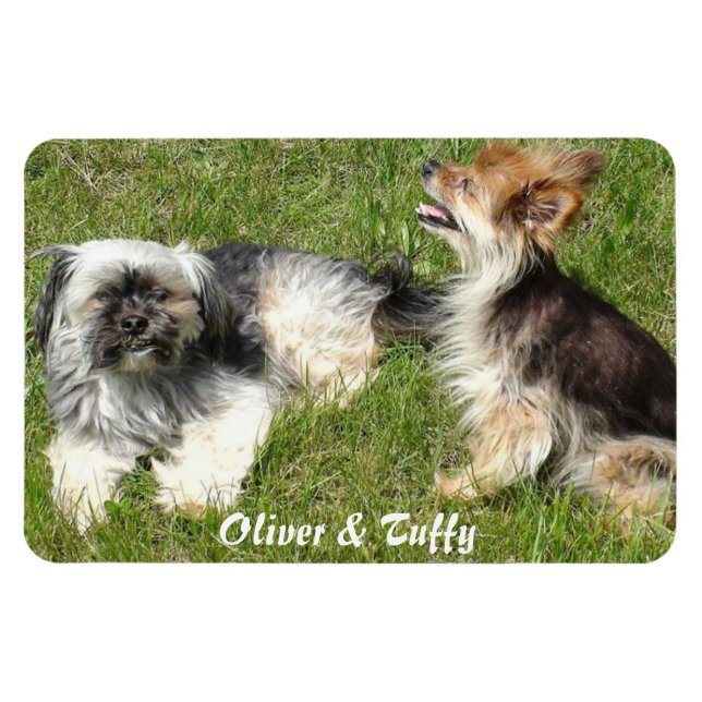 Add Your Favourite Photo Magnet (Horizontal)