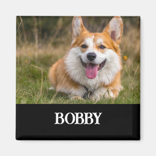 Add your own dog photo and name magnet