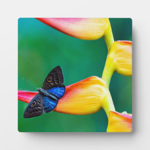 Add Your Own Image Photo Template Custom Gifts Plaque