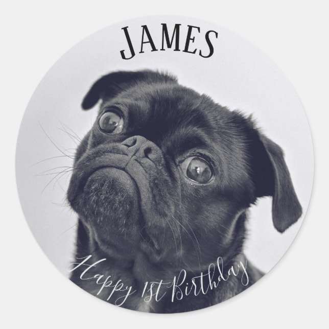 Add your own photo Birthday name Sticker (Front)