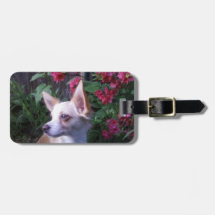 "Add Your Own Photo"    Luggage Tag