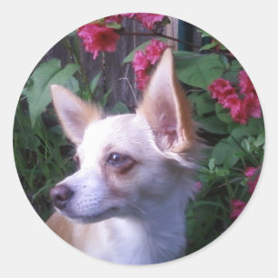 "Add Your Own Photo" Sticker