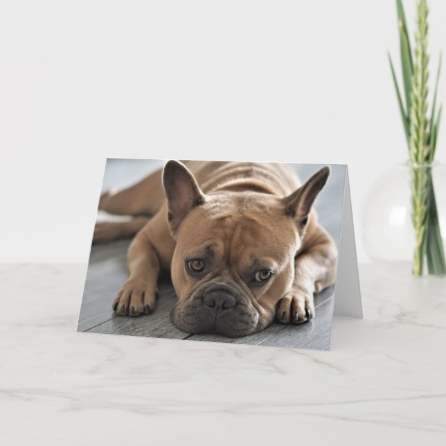 ADD YOUR OWN TEXT Cute Frenchie Card (Front)