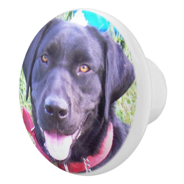 add your pet photo Ceramic Knob (Right)
