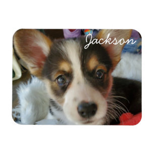 Add your Pet's Photo to this Magnet