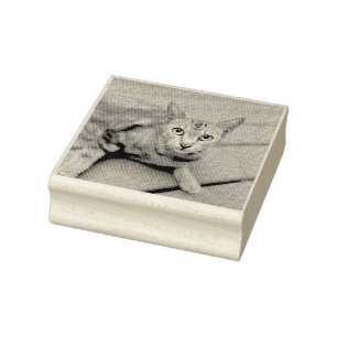 ADD YOUR PHOTO CAT PET CUSTOMIZED RUBBER STAMP