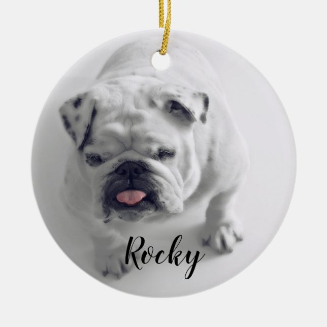 Add Your Photo my pet Dog Christmas  Ceramic Ornament (Front)