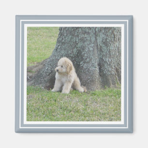 Add Your Photo to Modern Farmhouse Blue & White Magnet