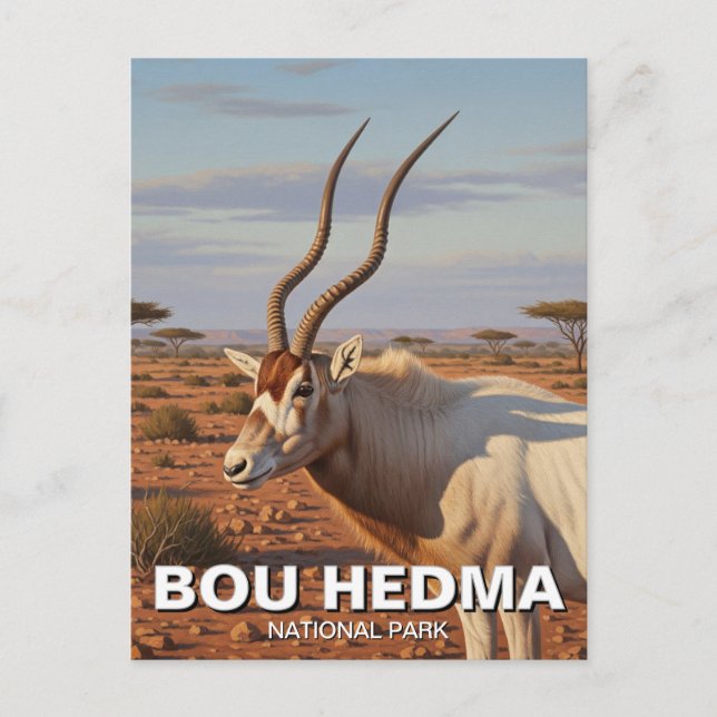 Addax Antelope in Bou Hedma National Park Tunisia Postcard (Front)