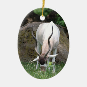 Addax Ornament