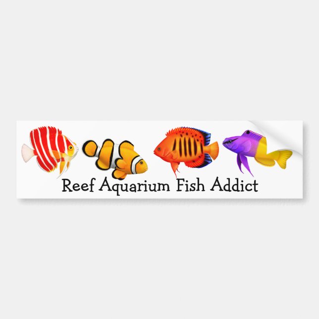 Addicted to Reef Aquarium Fish Bumper Sticker (Front)