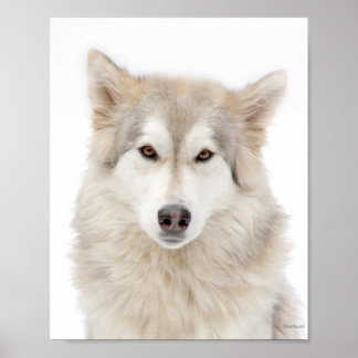 Addie of A Street Poster