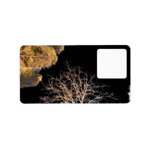 Address Label style design