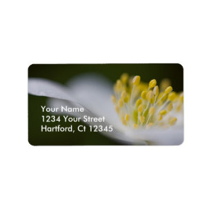 Address Label Wood Anemone