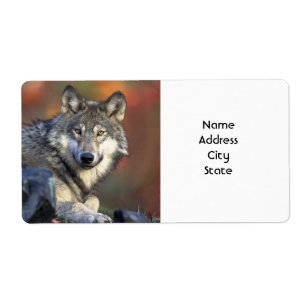 Address Labels