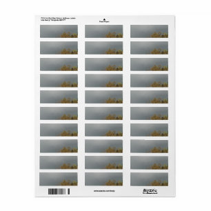 ADDRESS LABELS ART AND DESIGN