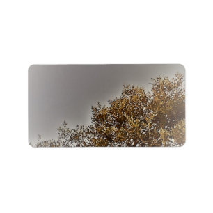 ADDRESS LABELS ART AND DESIGN