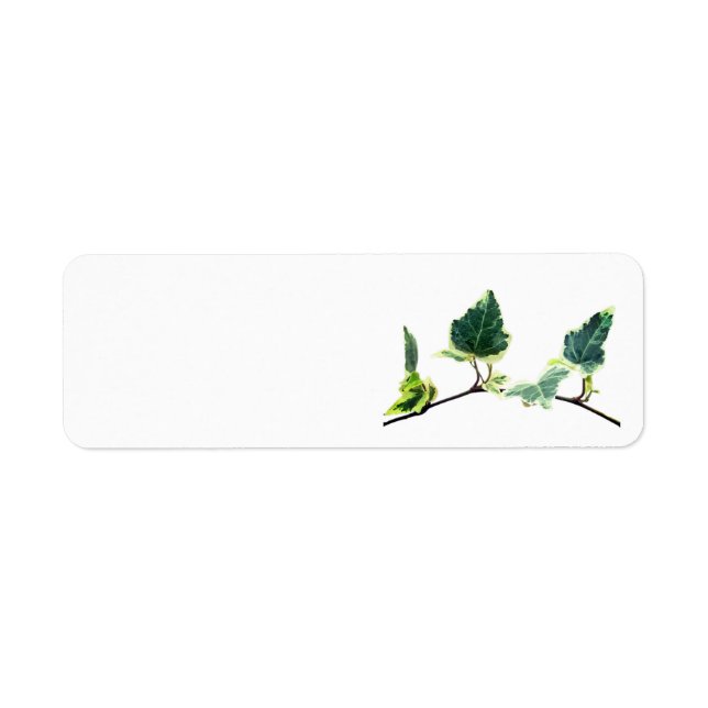 ADDRESS LABELS ART AND DESIGN (Front)