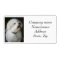 Address labels Bichon Frise