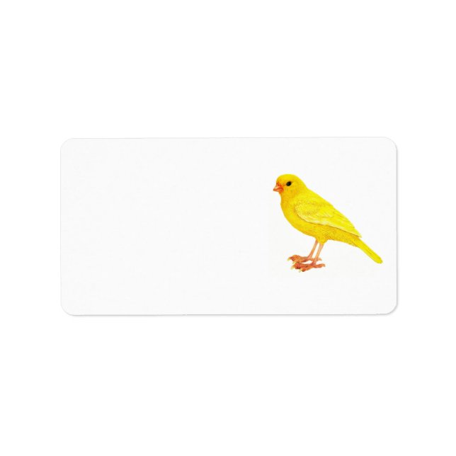 ADDRESS LABELS CANARY DESIGN  (Front)
