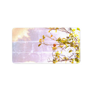 ADDRESS LABELS COOL ECO STYLE ESIGN