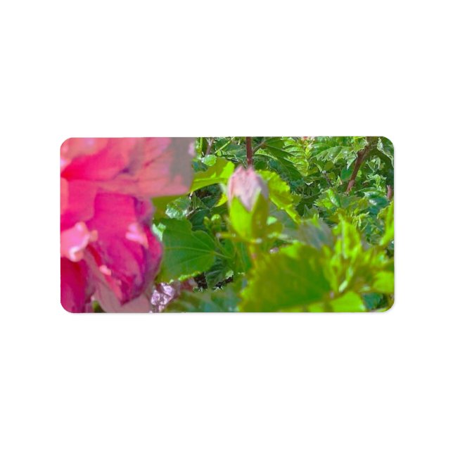 ADDRESS LABELS COOL ECO STYLE ESIGN (Front)