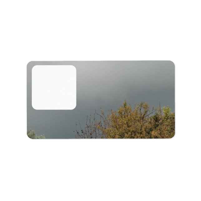 Address Labels mailing art&design styles (Front)