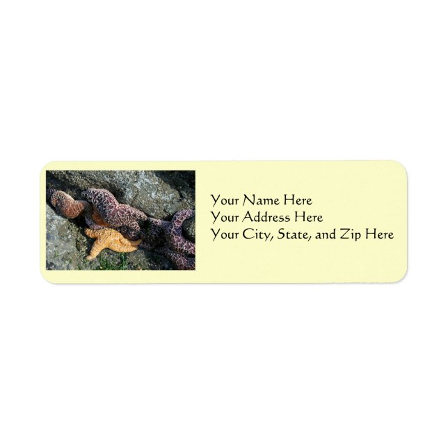 Address Labels:  Starfish Return Address Label (Front)