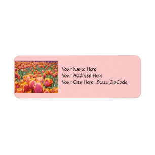 Address Labels Tulip Flowers Pink Tulips