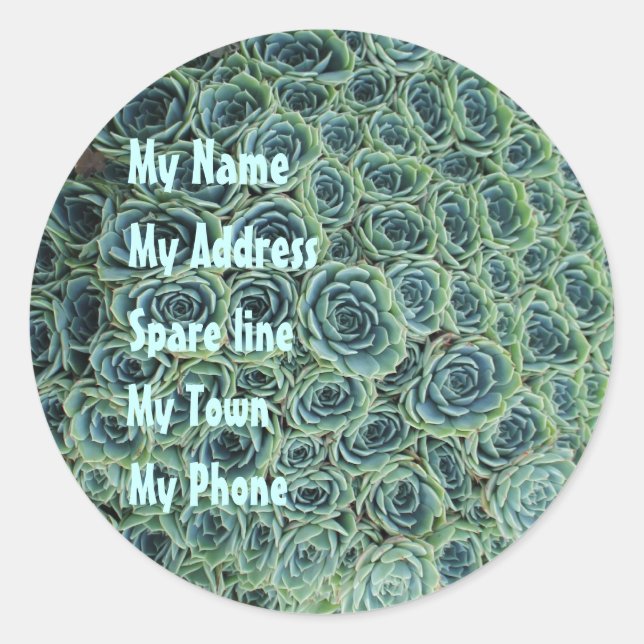 Address Sticker with Cactus Flowers (Front)