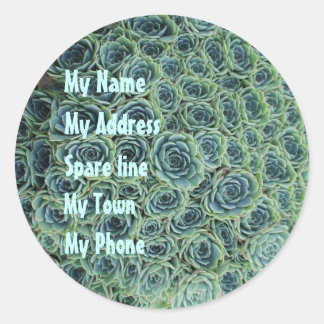 Address Sticker with Cactus Flowers