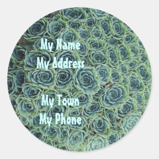 Address Sticker with Cactus Flowers