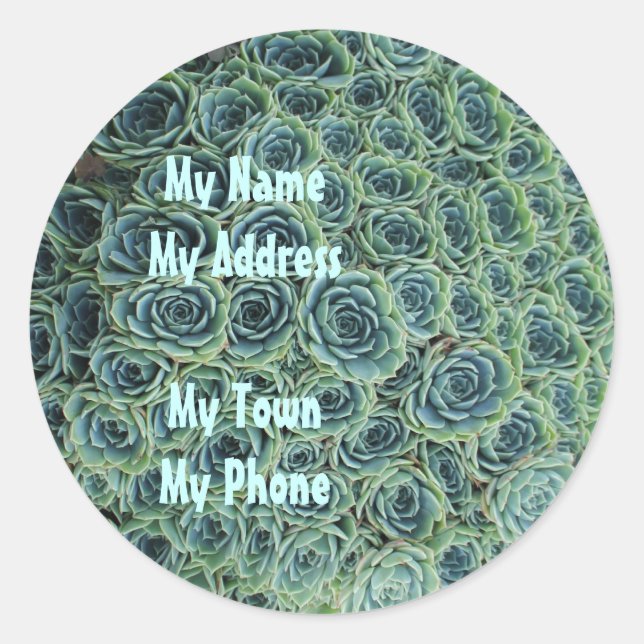 Address Sticker with Cactus Flowers (Front)