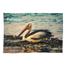 Adelaide Pelican