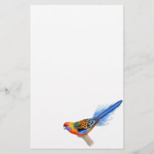 Adelaide Rosella Parrot Stationery